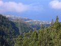 Madeira0713.JPG